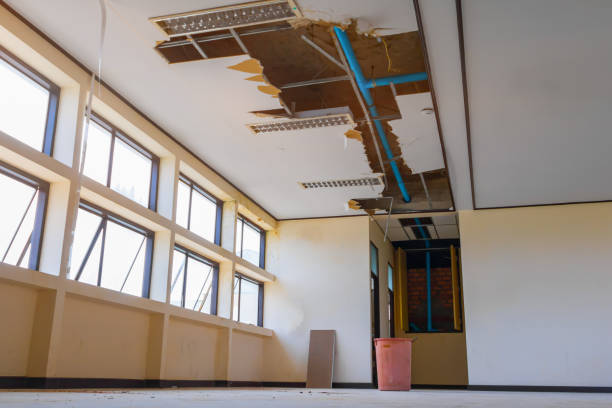  Park Center, CO Water damage restoration Pros