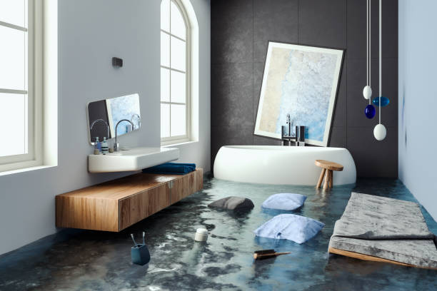 Best Water damage cleanup near me  in Park Center, CO