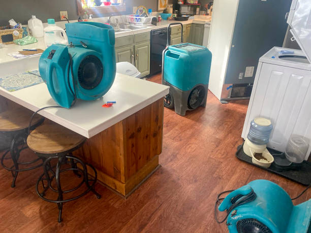 Best Water damage restoration near me  in Park Center, CO