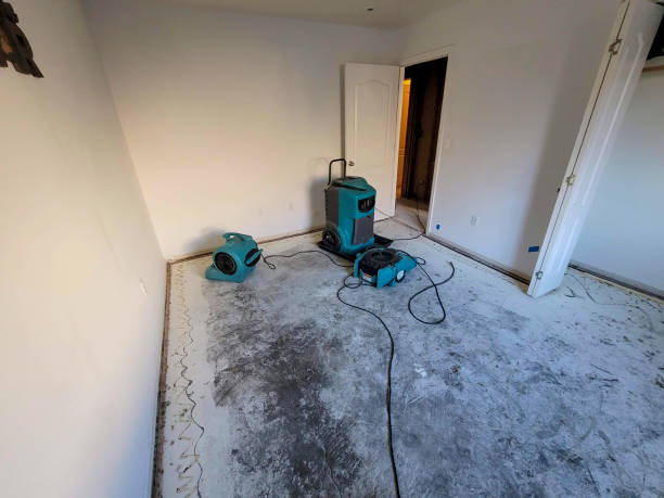 Best Basement water damage restoration  in Park Center, CO