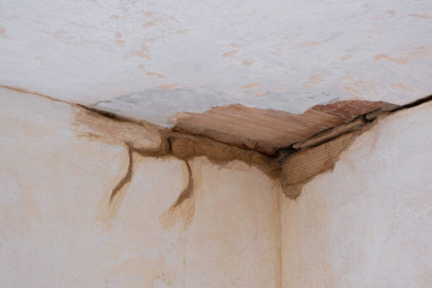 Best Flooded house restoration  in Park Center, CO