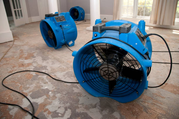 Best Water damage restoration near me  in Park Center, CO