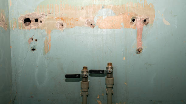 Best Water damage restoration services  in Park Center, CO