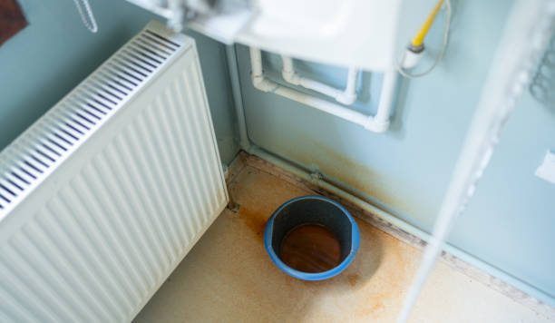 Best Local water damage restoration  in Park Center, CO
