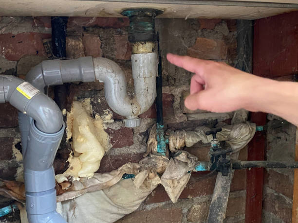 Best Professional water damage repair  in Park Center, CO